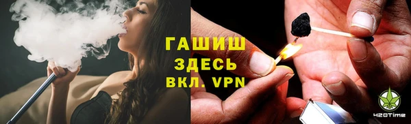 индика Зеленодольск