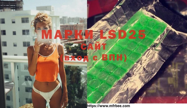 индика Зеленодольск