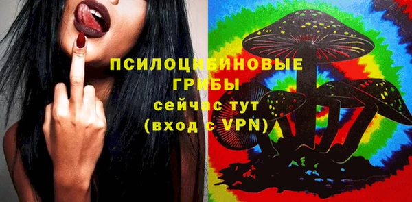 синтетический гашиш Зеленокумск