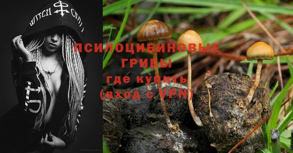 индика Зеленодольск