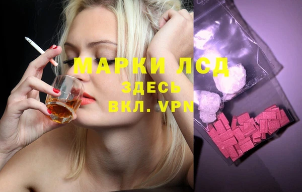 гидра Заволжье
