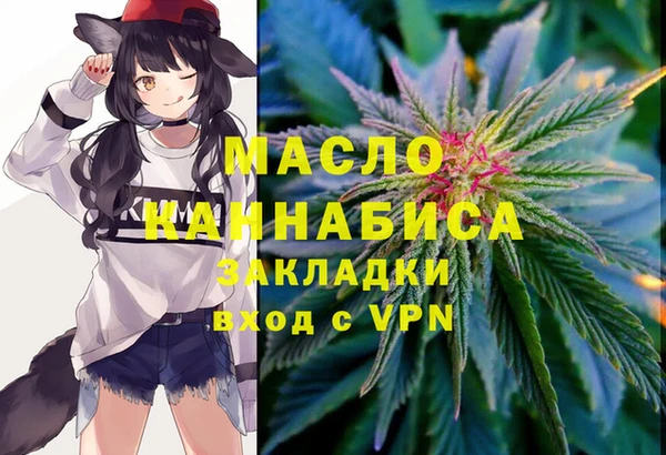 индика Зеленодольск