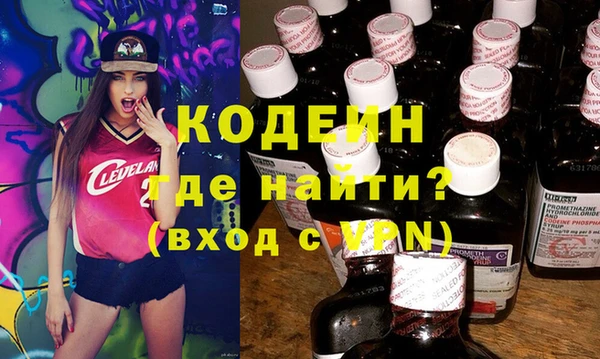индика Зеленодольск