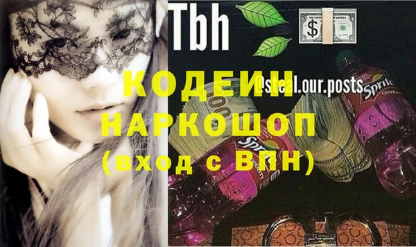 индика Зеленодольск