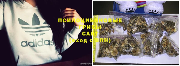 MESCALINE Заводоуковск