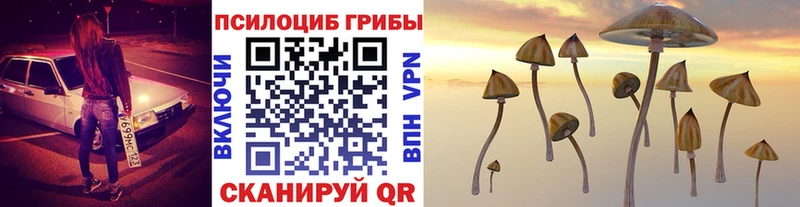 Псилоцибиновые грибы мицелий  Купить закладки  Заволжье 
